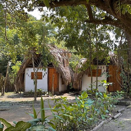 La Aldea Hostel, Camping Y Hamacas Palomino Exterior photo