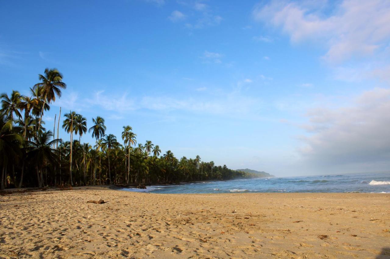 La Aldea Hostel, Camping Y Hamacas Palomino Exterior photo