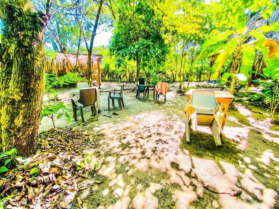 La Aldea Hostel, Camping Y Hamacas Palomino Exterior photo