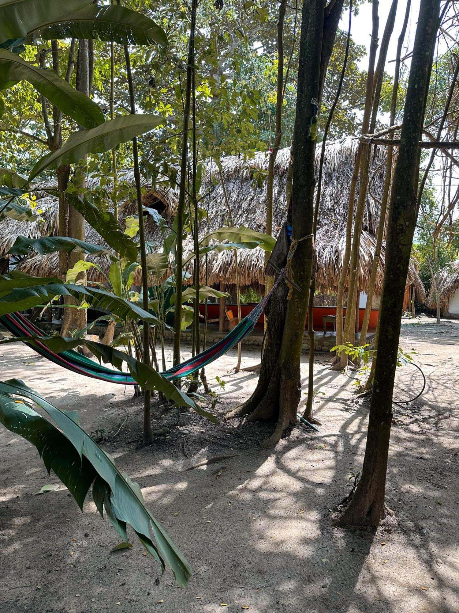 La Aldea Hostel, Camping Y Hamacas Palomino Exterior photo
