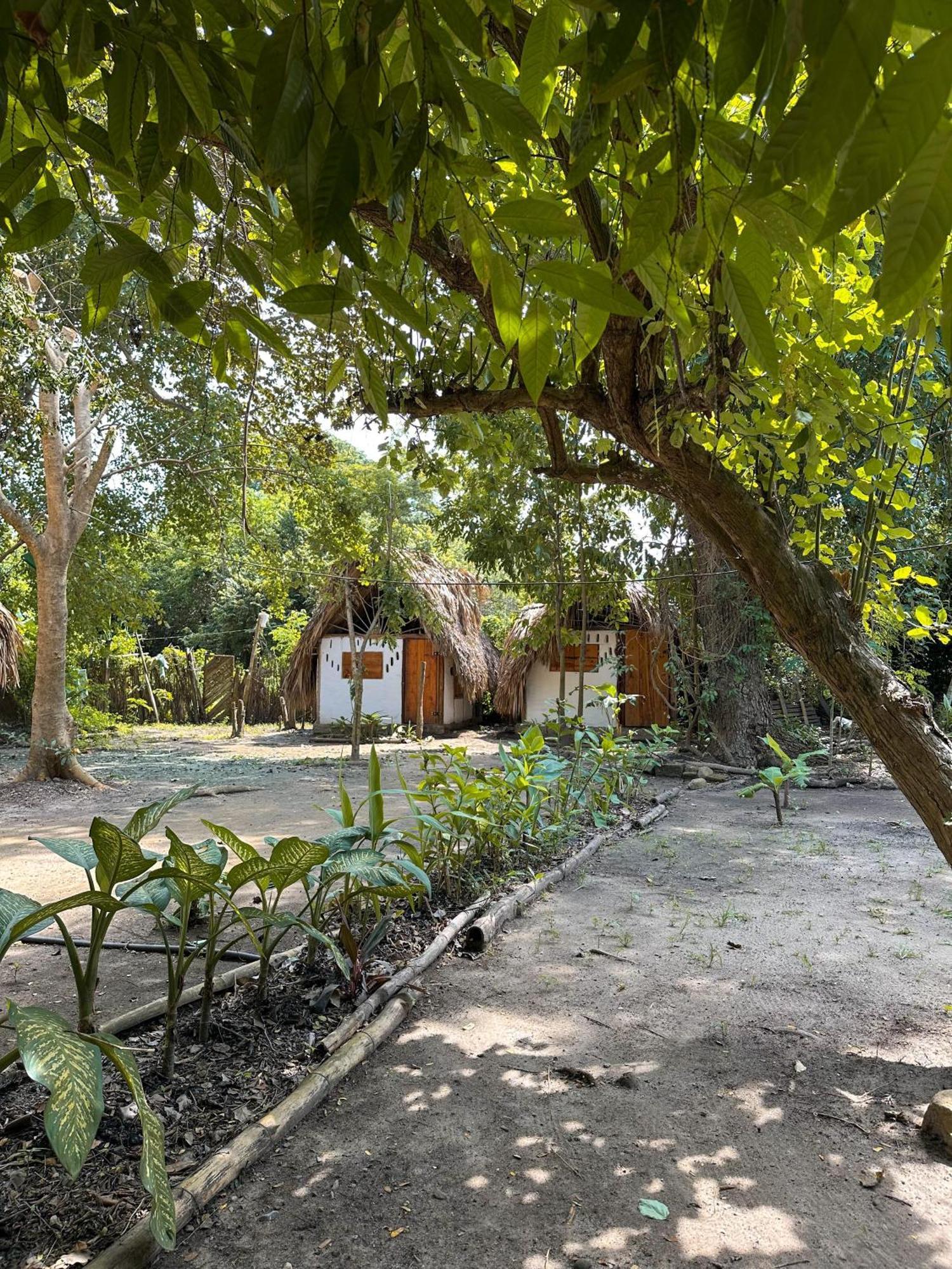 La Aldea Hostel, Camping Y Hamacas Palomino Exterior photo