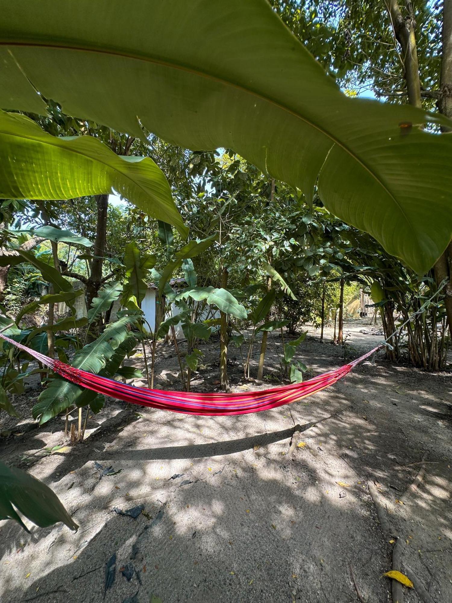 La Aldea Hostel, Camping Y Hamacas Palomino Exterior photo
