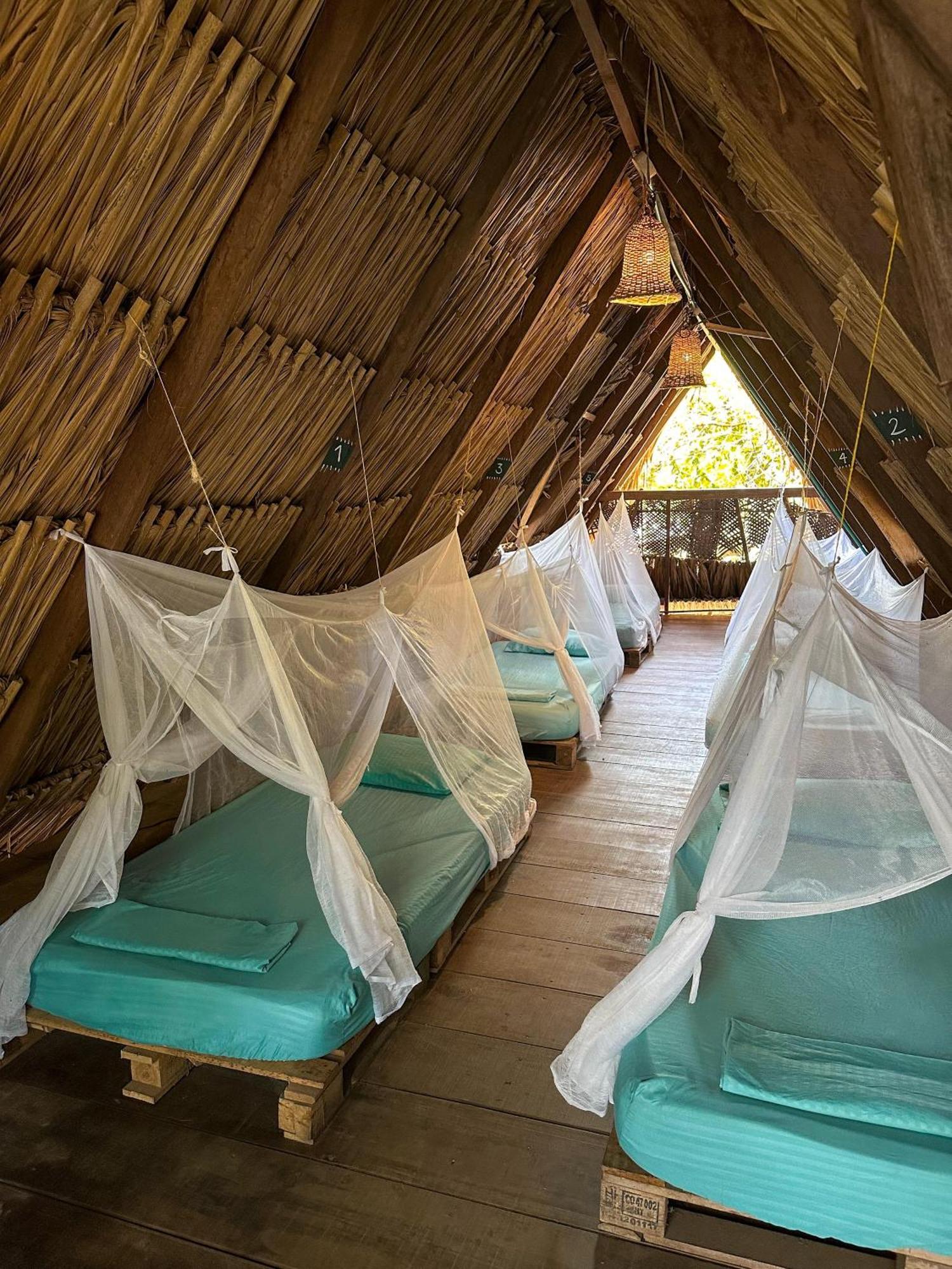 La Aldea Hostel, Camping Y Hamacas Palomino Exterior photo